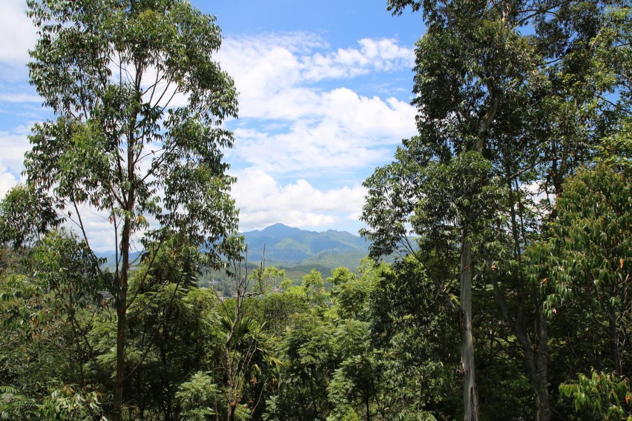 The Bliss Homestay Ella Buitenkant foto