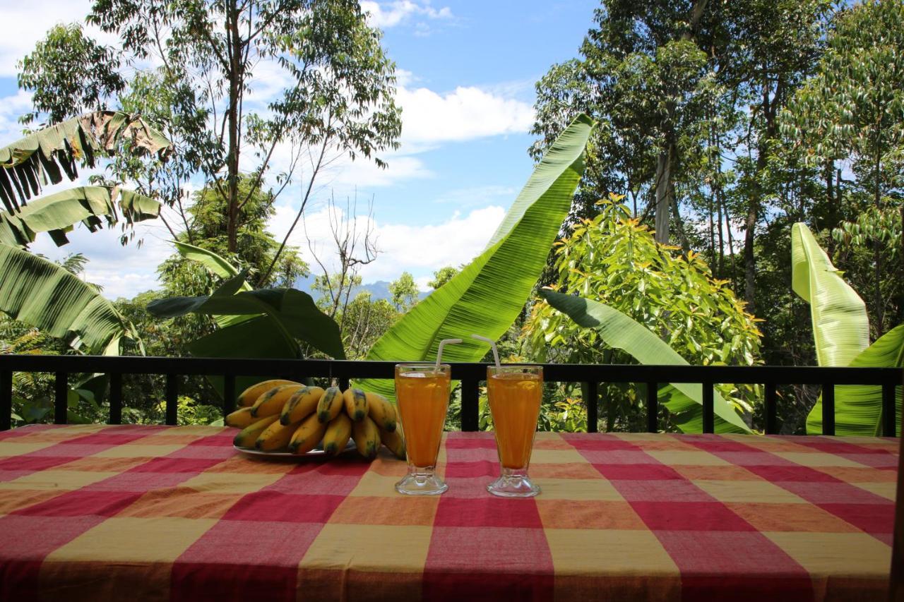 The Bliss Homestay Ella Buitenkant foto